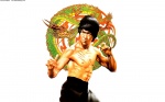 Bruce-lee-dragon-160995